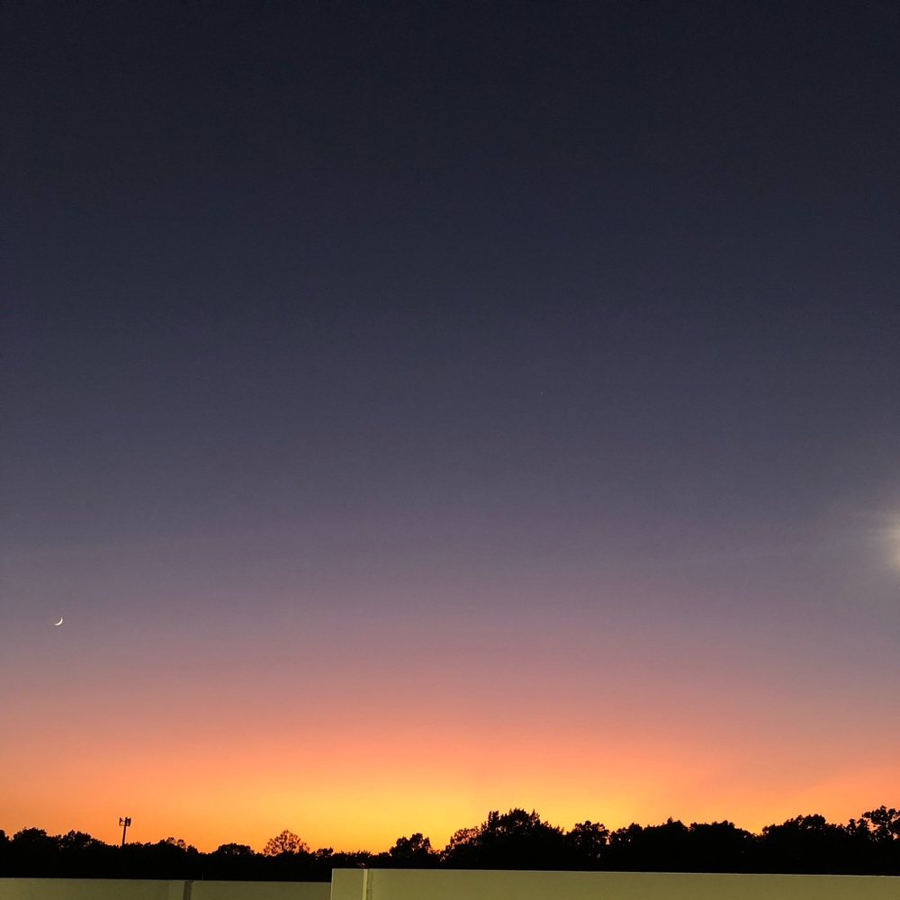 Meet your Posher, Morgan